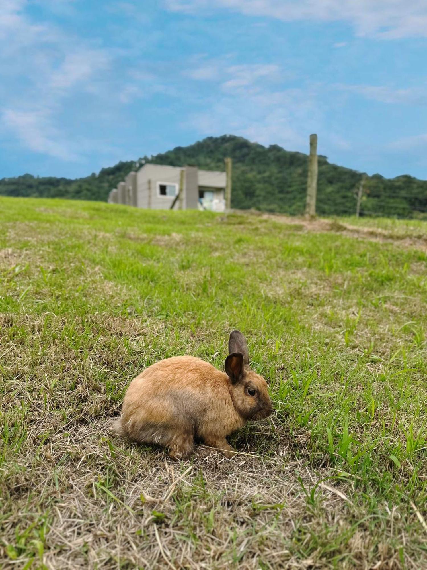 Hospedagem Zilz ポメロデ エクステリア 写真