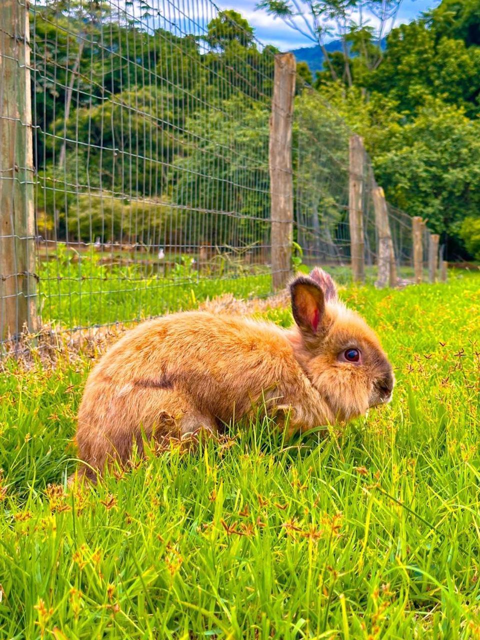 Hospedagem Zilz ポメロデ エクステリア 写真